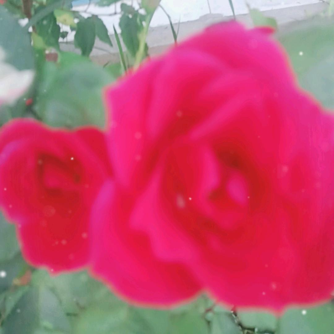 用户5180379268463