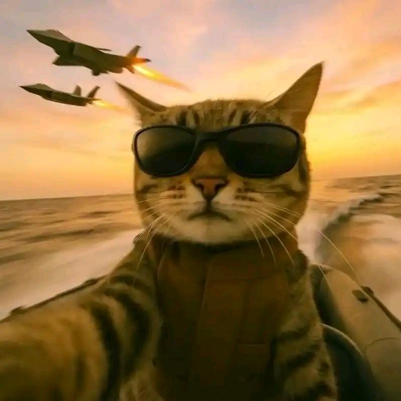 为啥不吃饭因为宝^O^