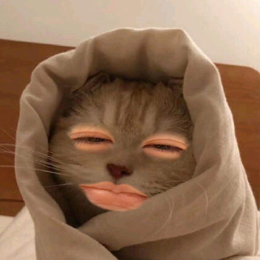 蟹黄黄黄黄