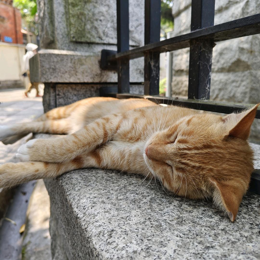 别吵正在做梦