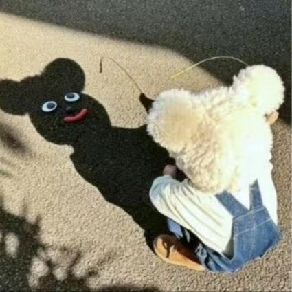 财务自由梦游者☁️