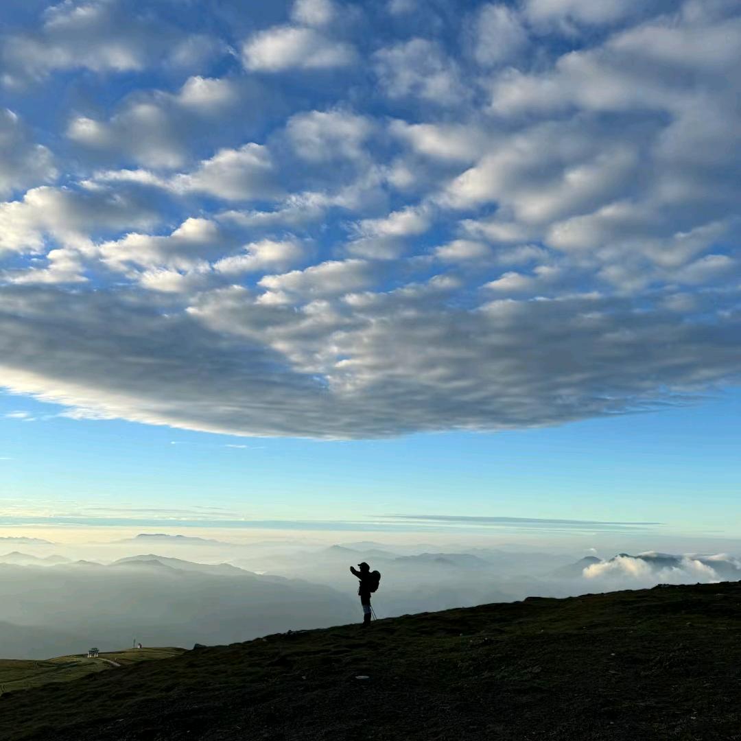 五台山旅游商务接待   小杨哥