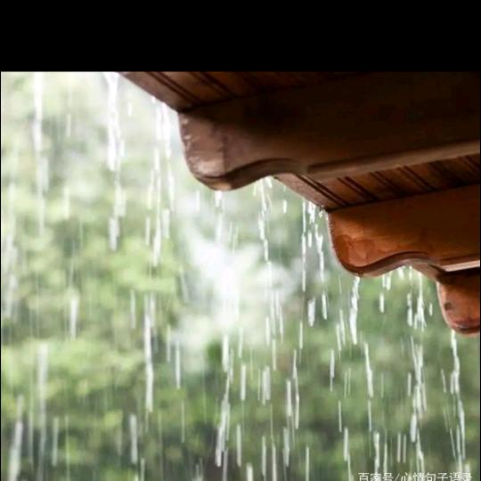 清风细雨🐟