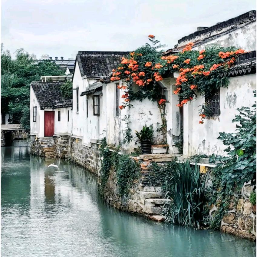 清散浮华