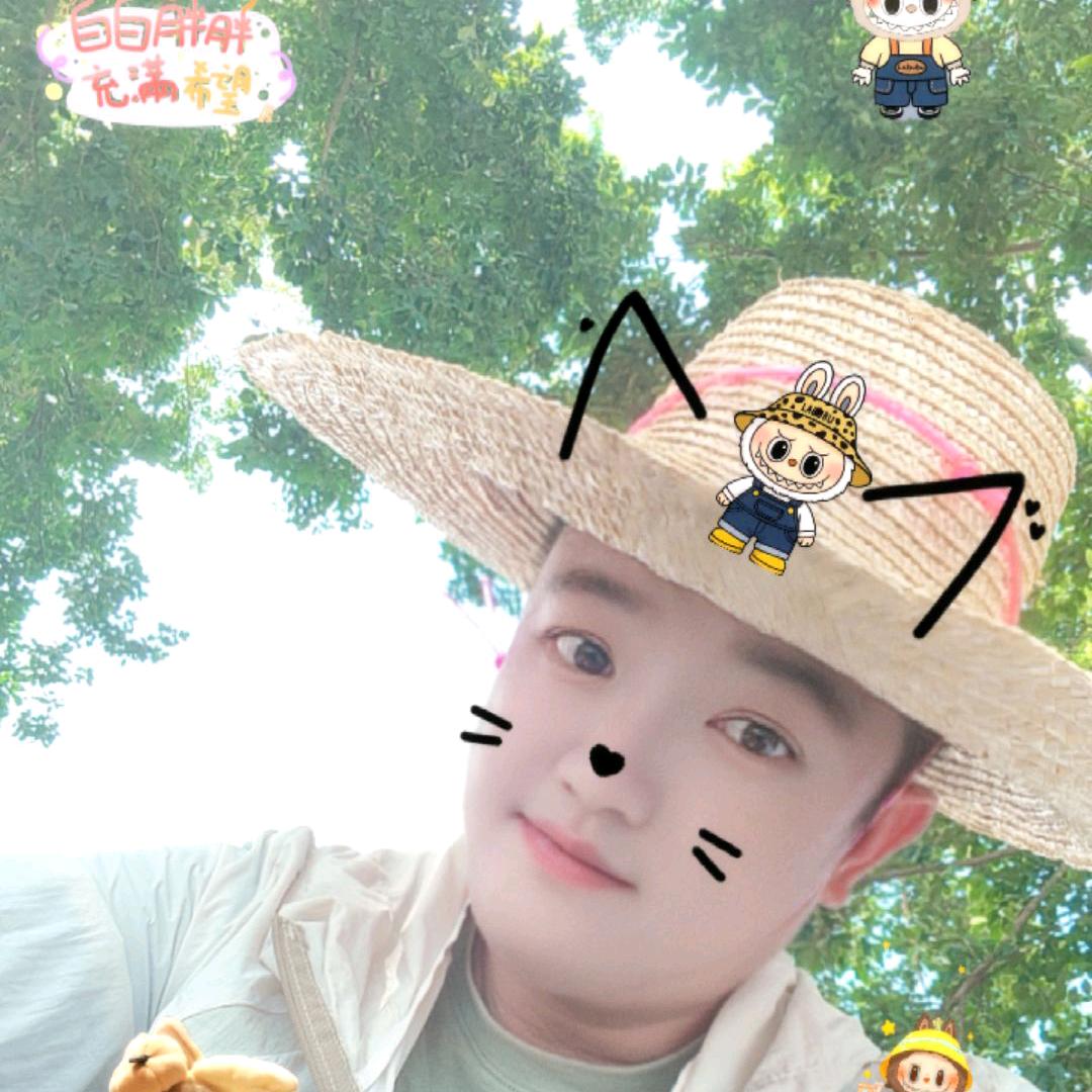 冷漠的小猪