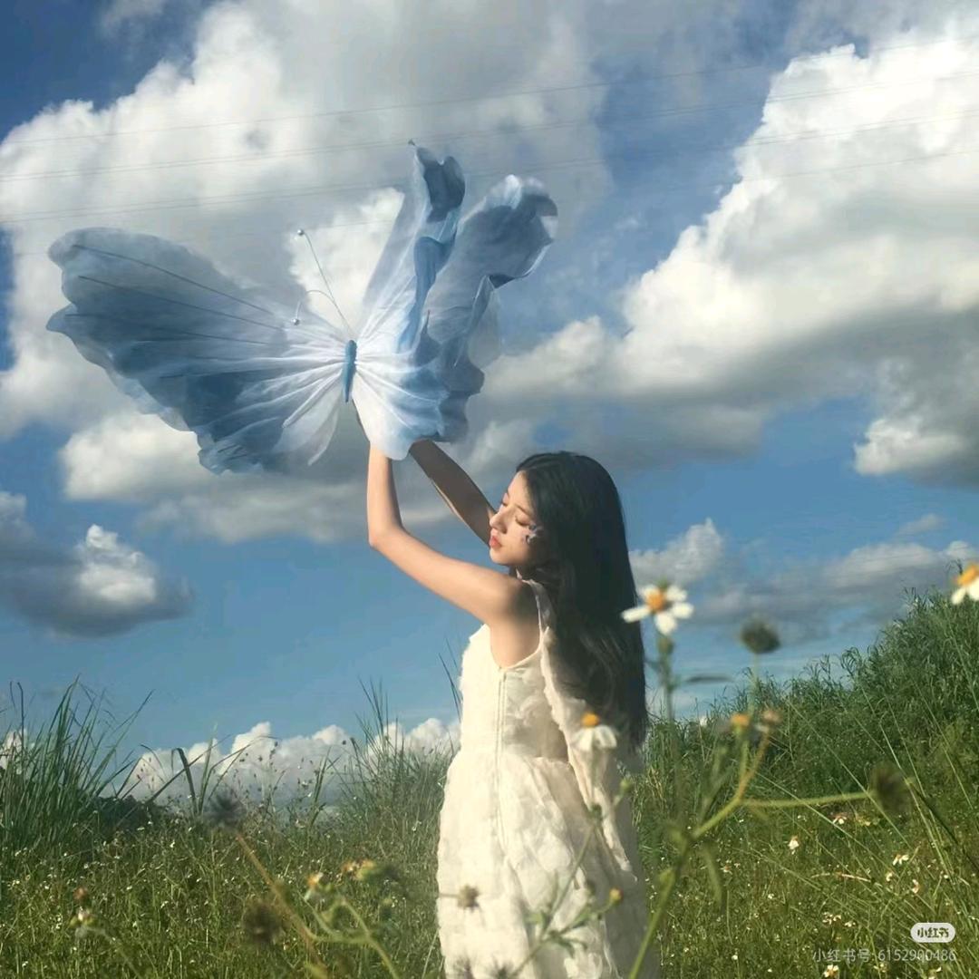 暴躁的小🐑