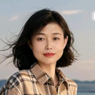 韩虎进口自行车