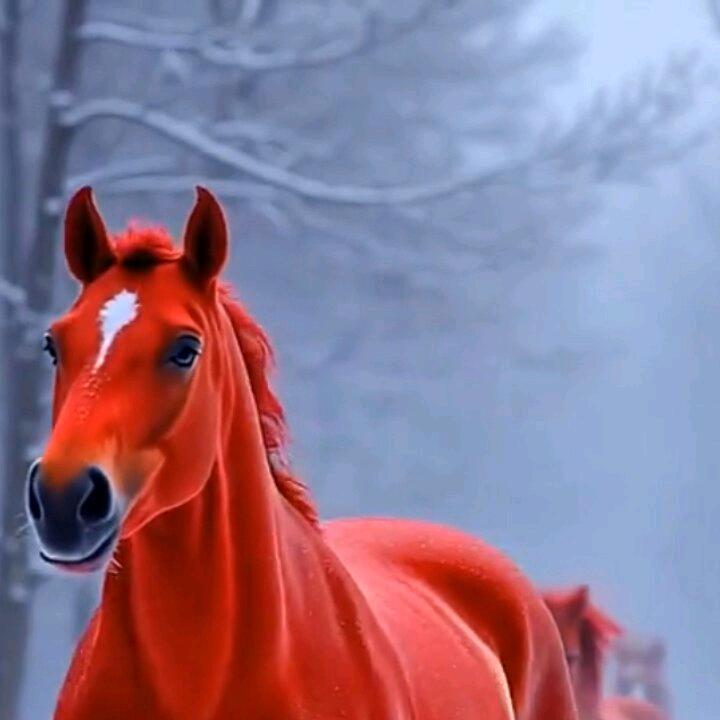 家和万事兴，孙宇宙，