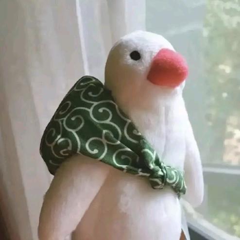 啊biu～ʕ•̫͡•ʔ