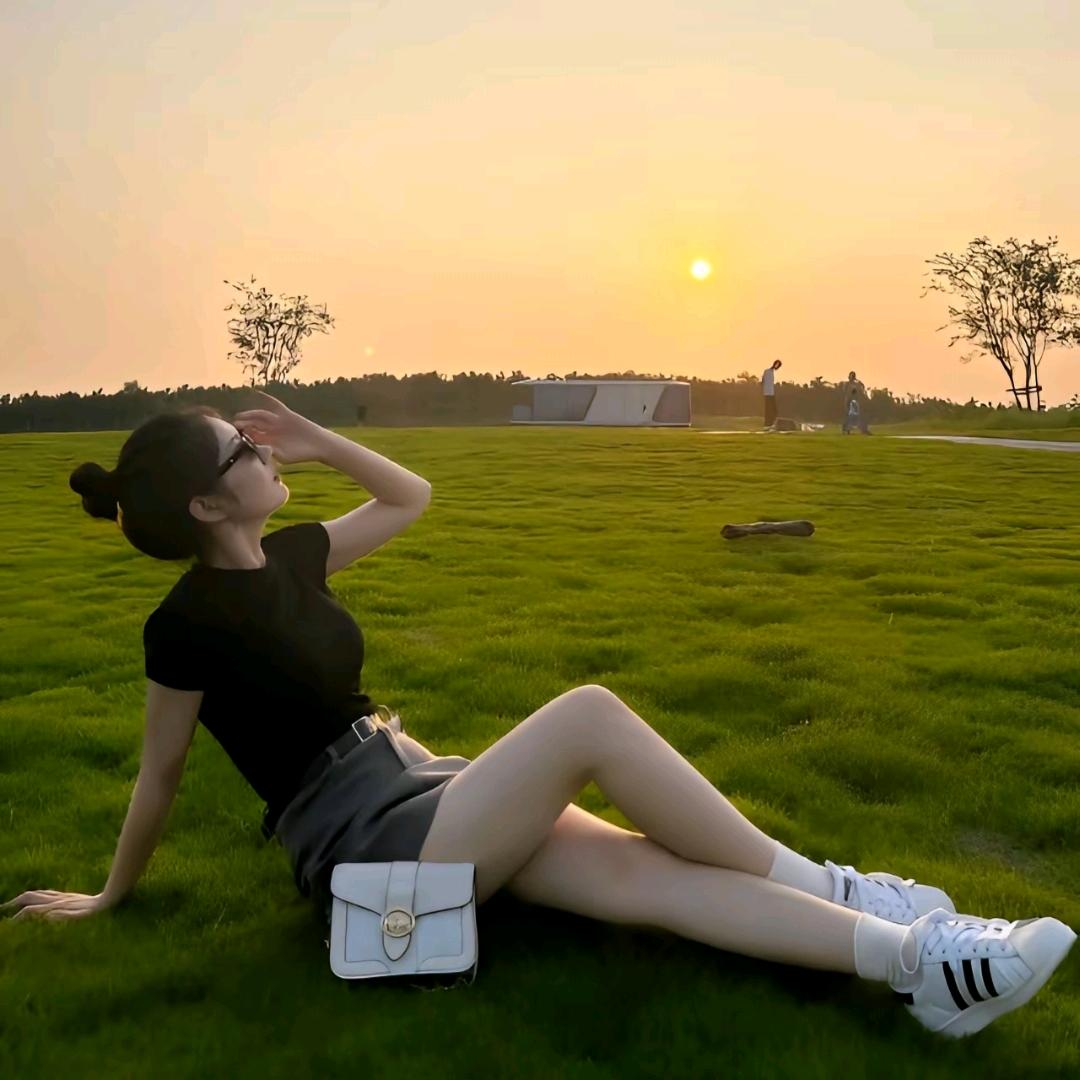 山茶花，不懂白玫瑰