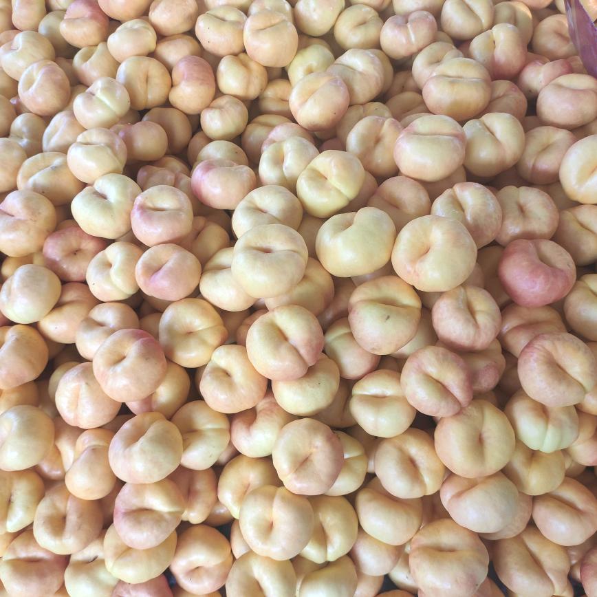 静若繁花！！！！