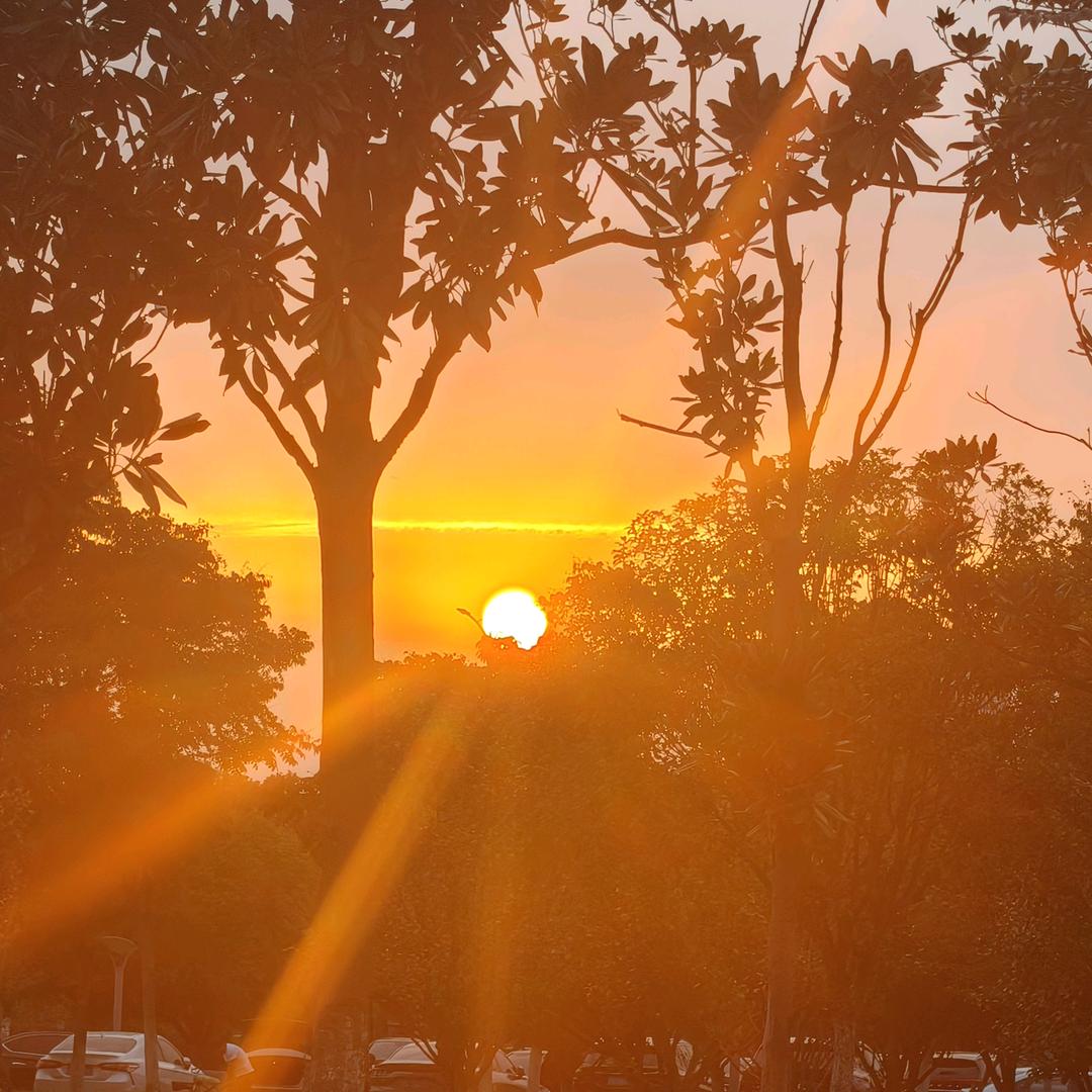 闷油瓶🍼（涨粉🔥）