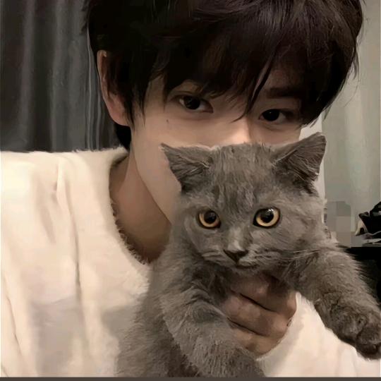 搁浅ヽ(〃∀〃)ﾉ