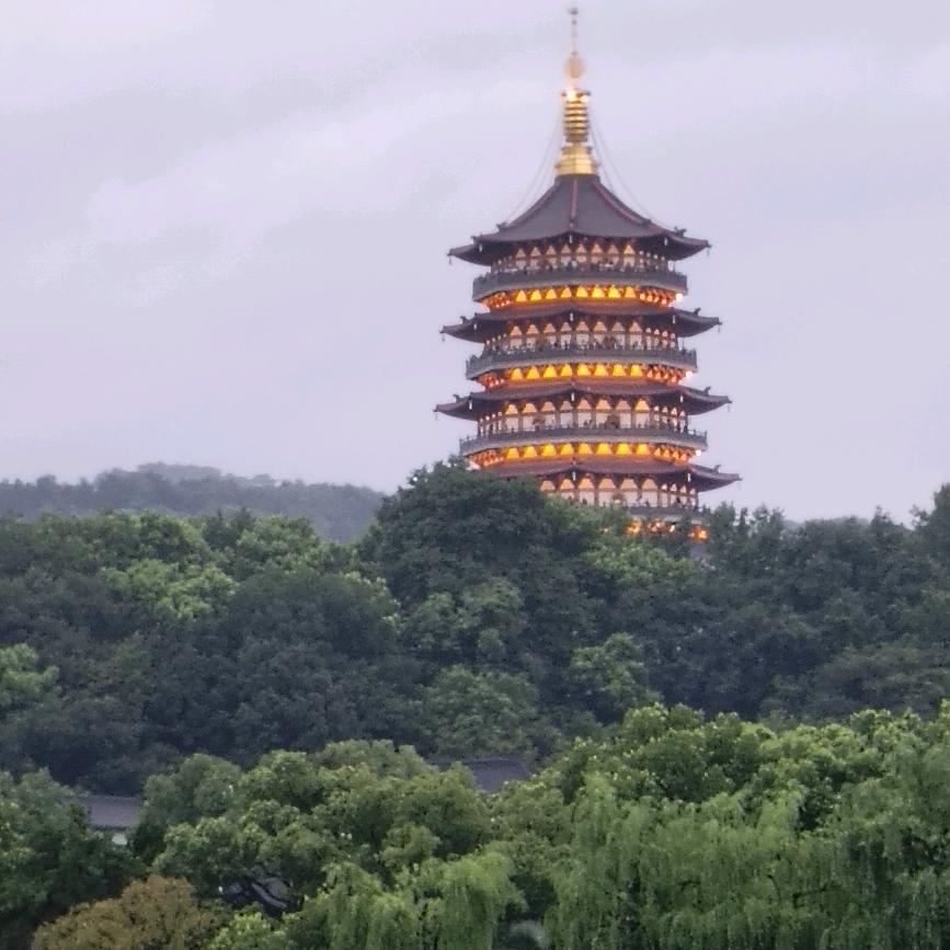淡雅清茶