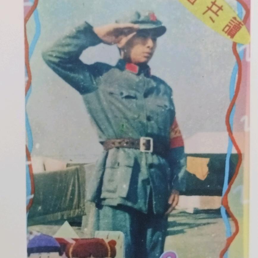 大坪新风采鸽业