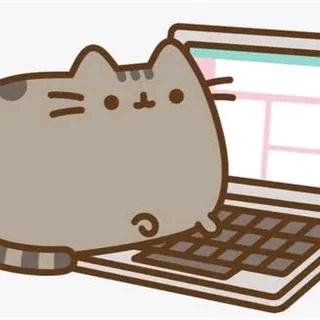 不系舟