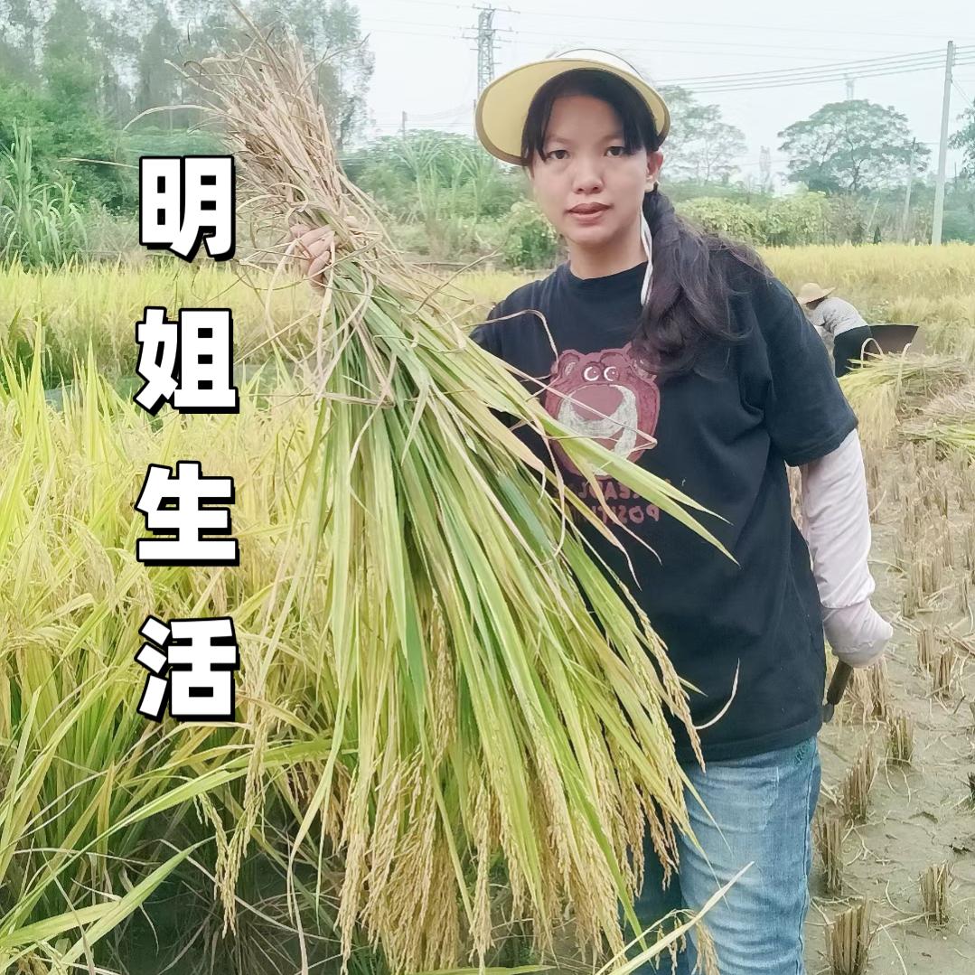 明姐清远特产店