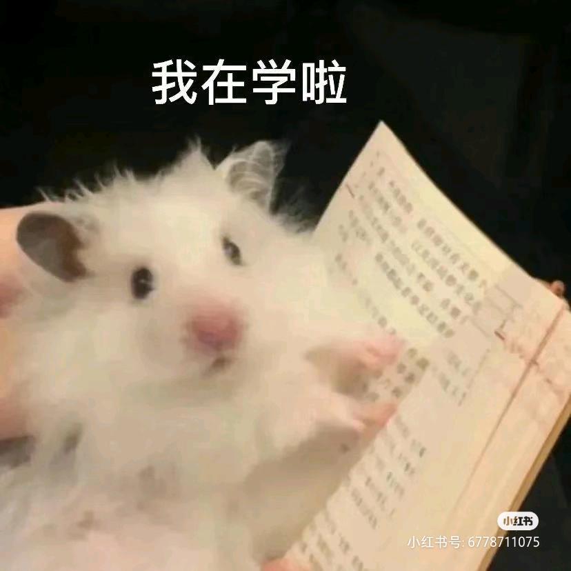 欧克啊