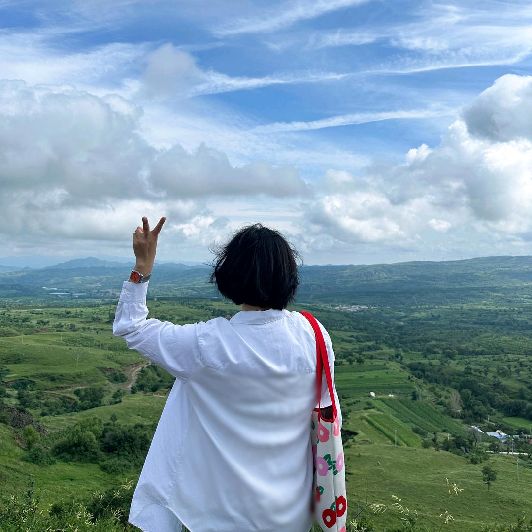 南山有风