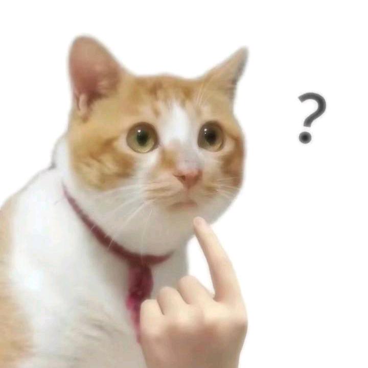 爱吃草莓的小欣🍓