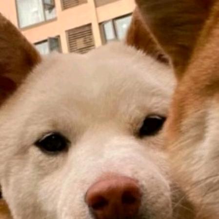 W-硕