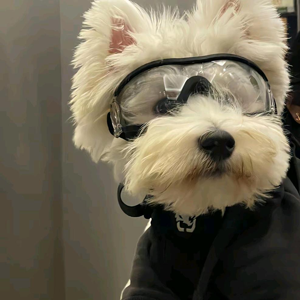 喜欢打游戏的PURO