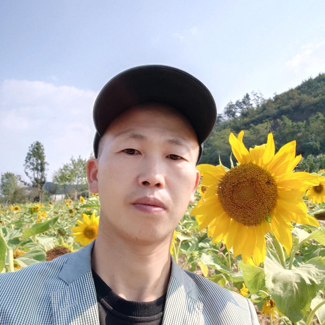 太阳在工地