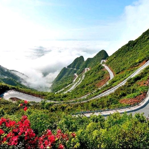 静心随缘
