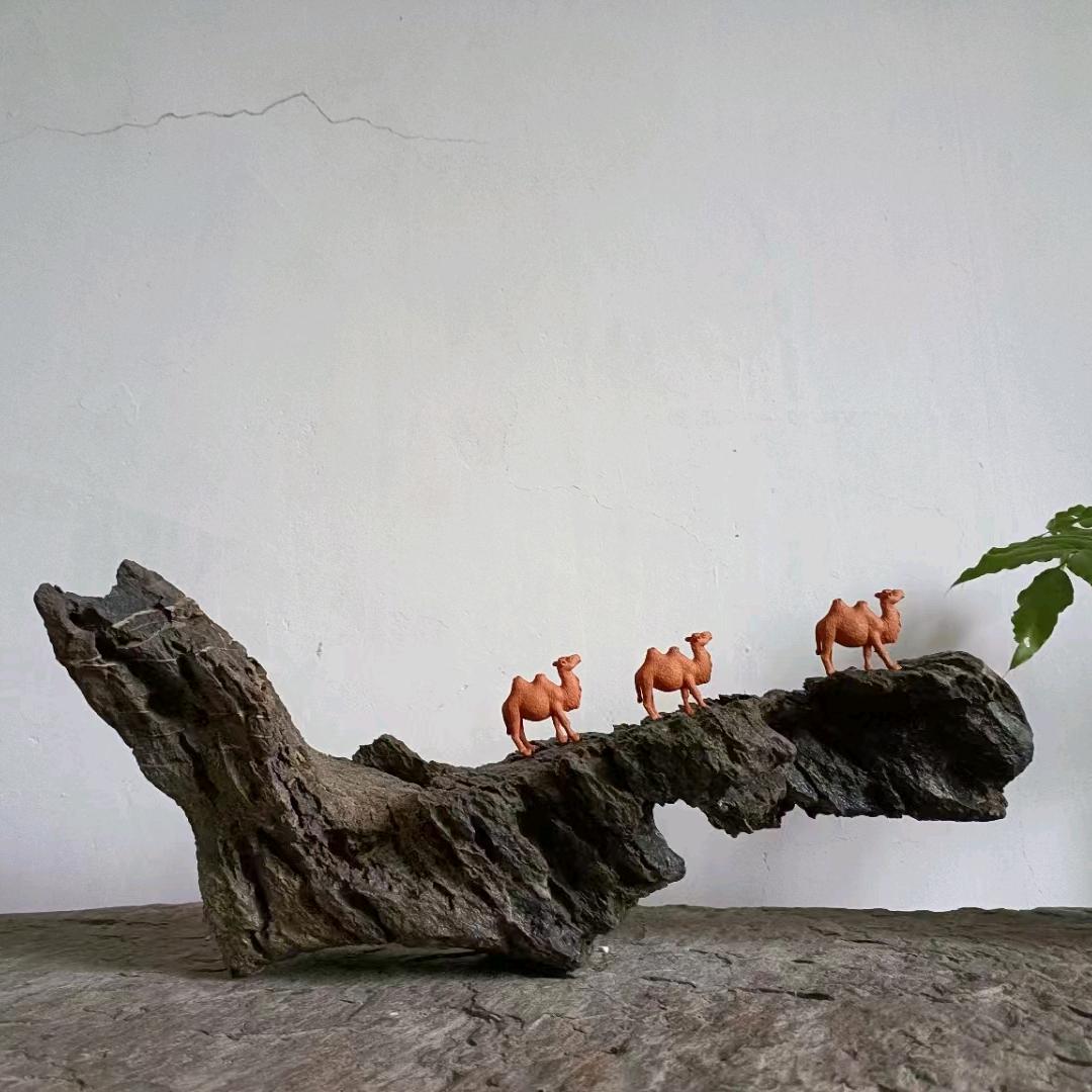 丢失的日记