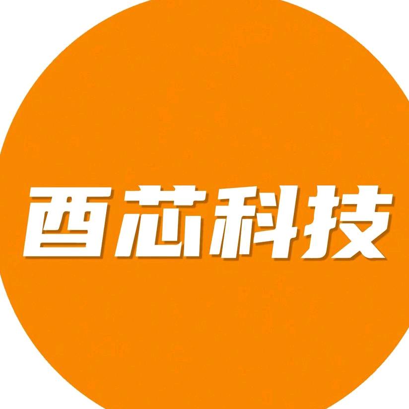酉芯科技智能监控安防