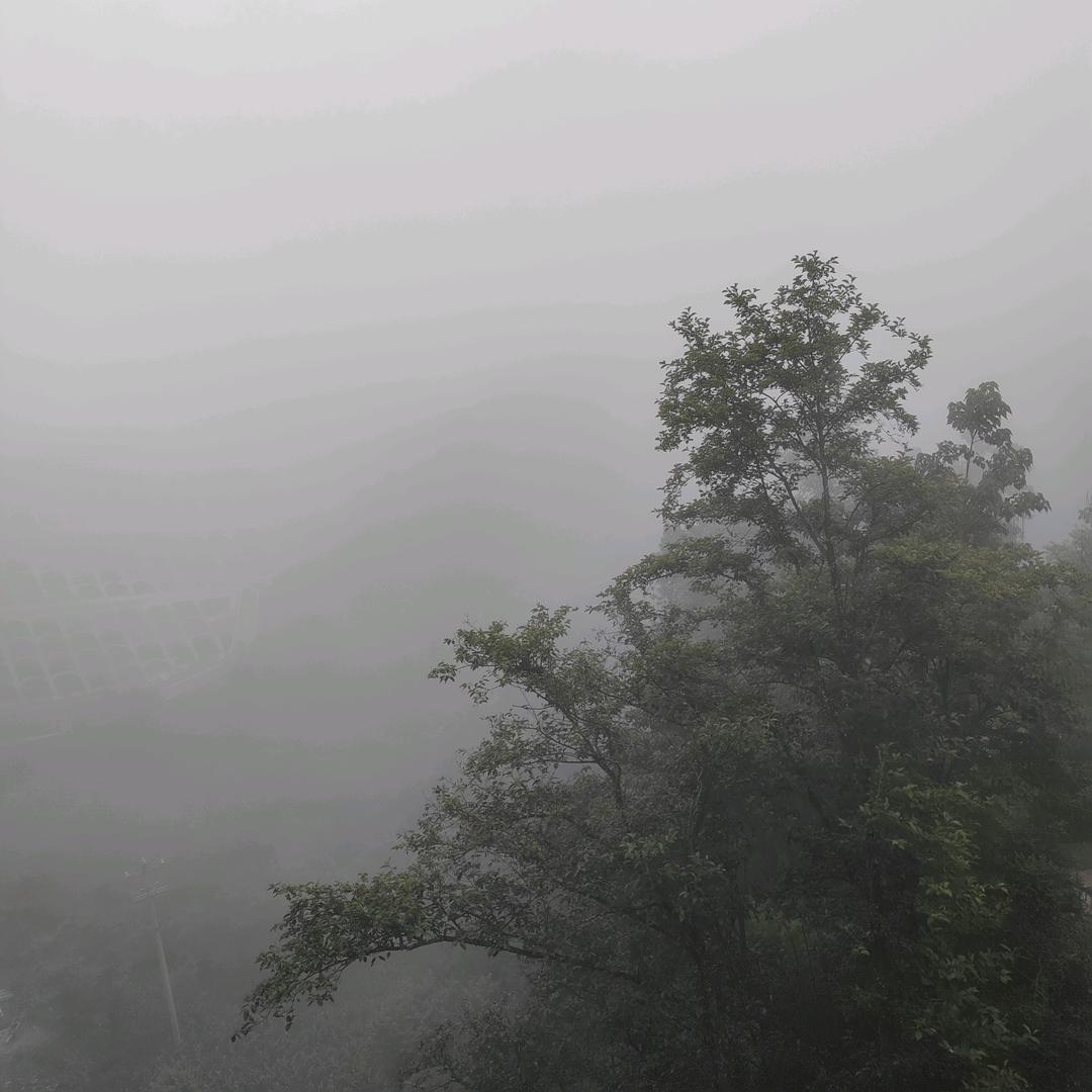 舍以得