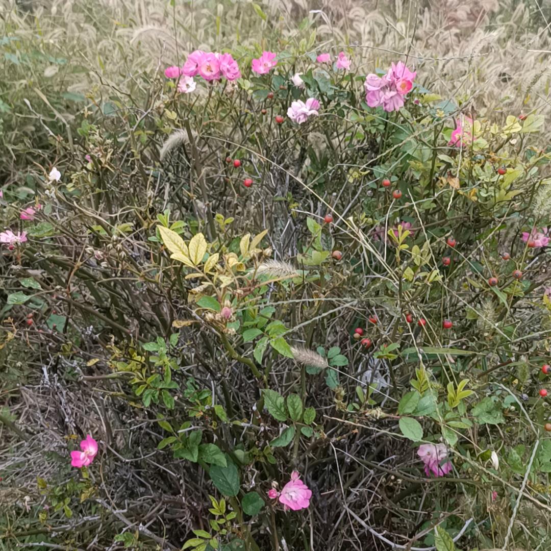 鸿运聚宝
