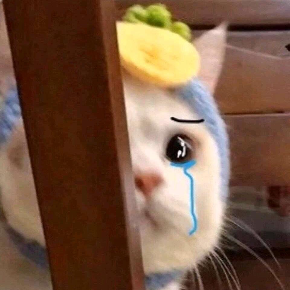 啊哦哦哦好嘞