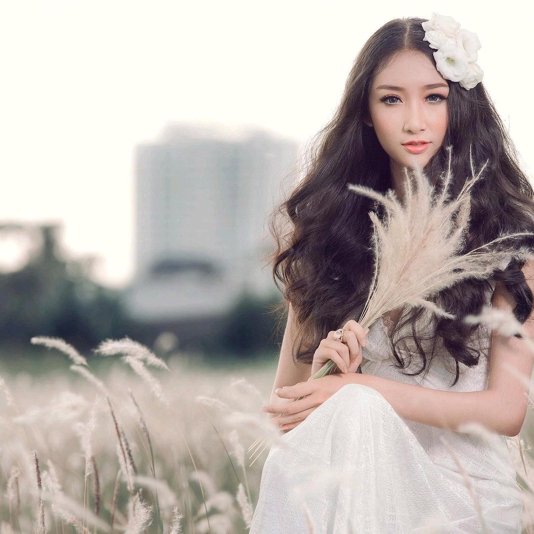 美丽