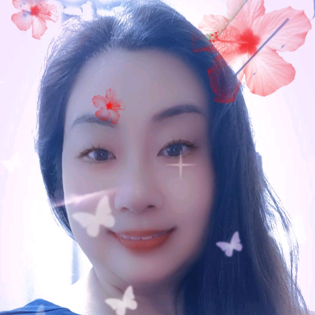 快乐鸟飞