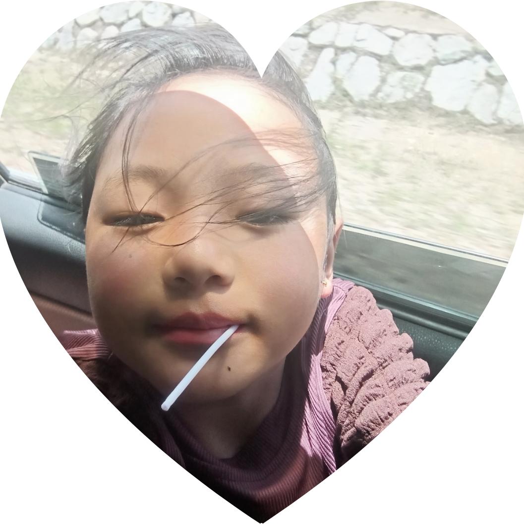 GSZJ