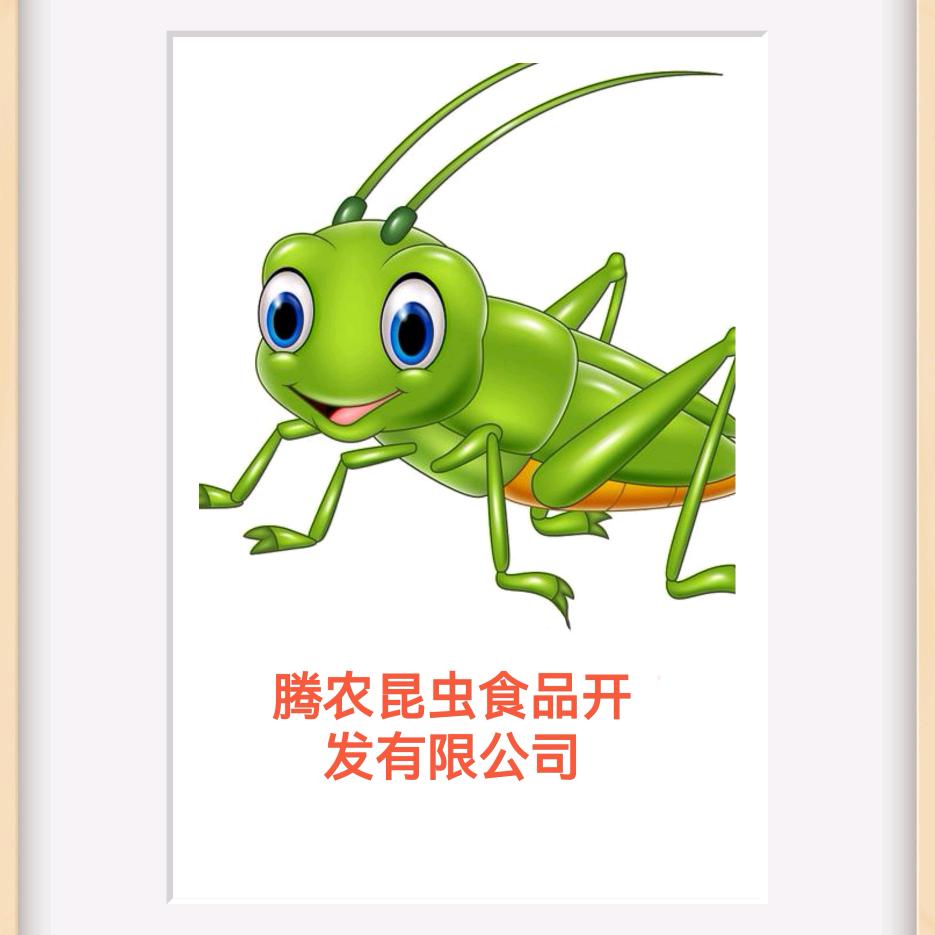 会飞的虫子（腾农虫业）