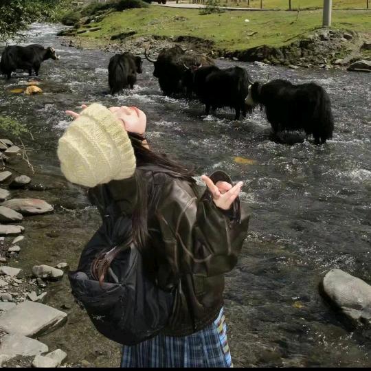 𝗰𝗮𝗧𝗧𝗼𝗶𝗶𝗻