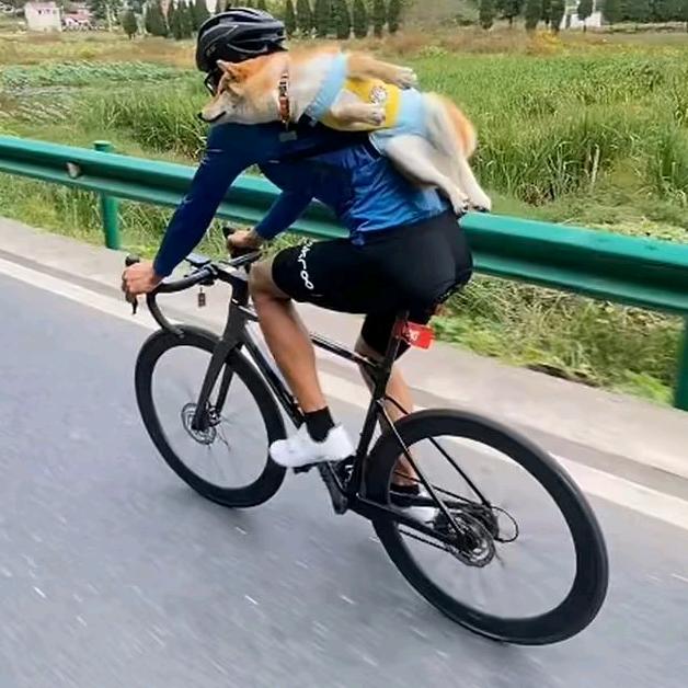 菜腿小七🚴🏼