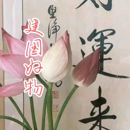 建国好物分享