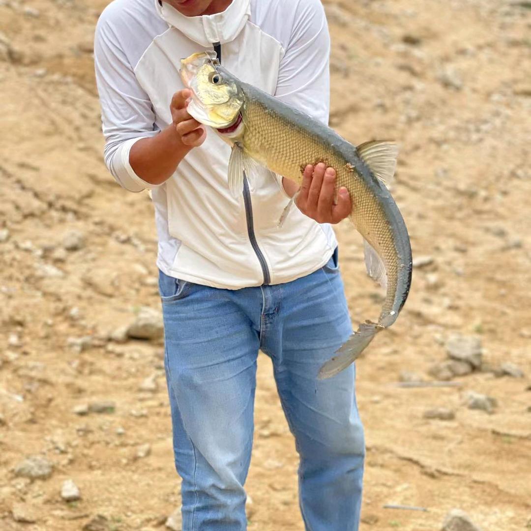 淡水生物垂钓者🎣