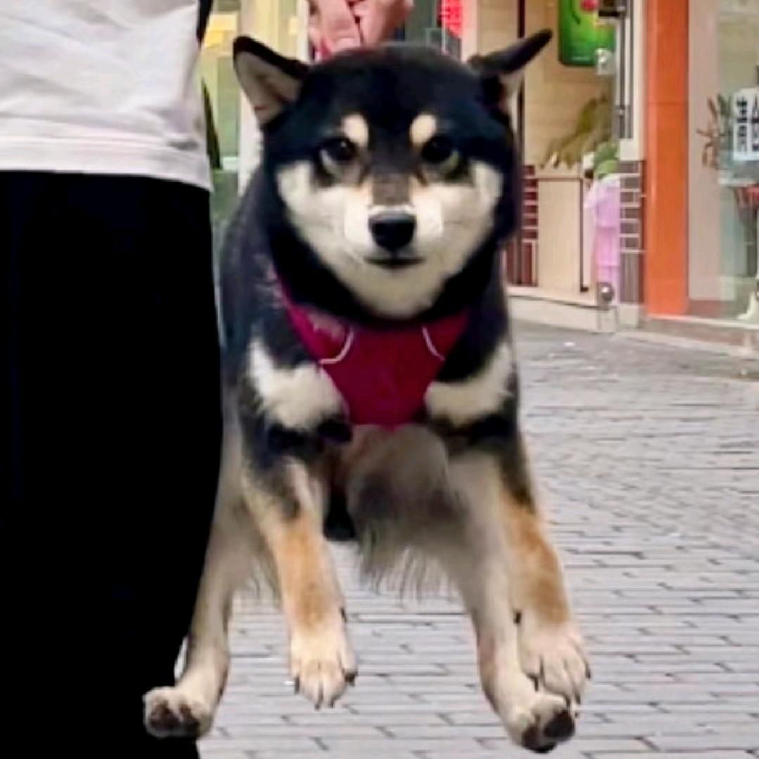 呃~~~~~~