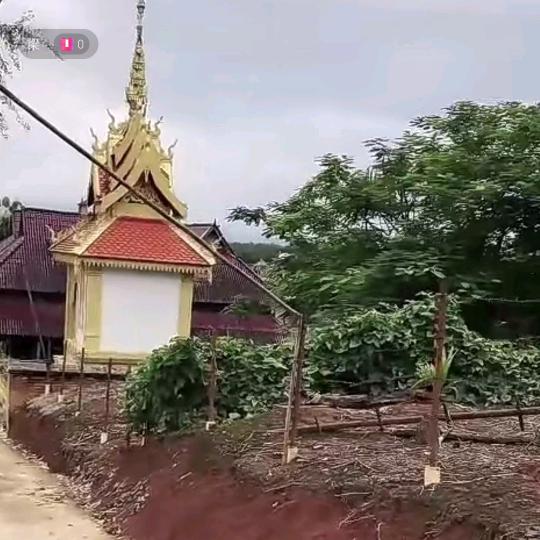 只为等你
