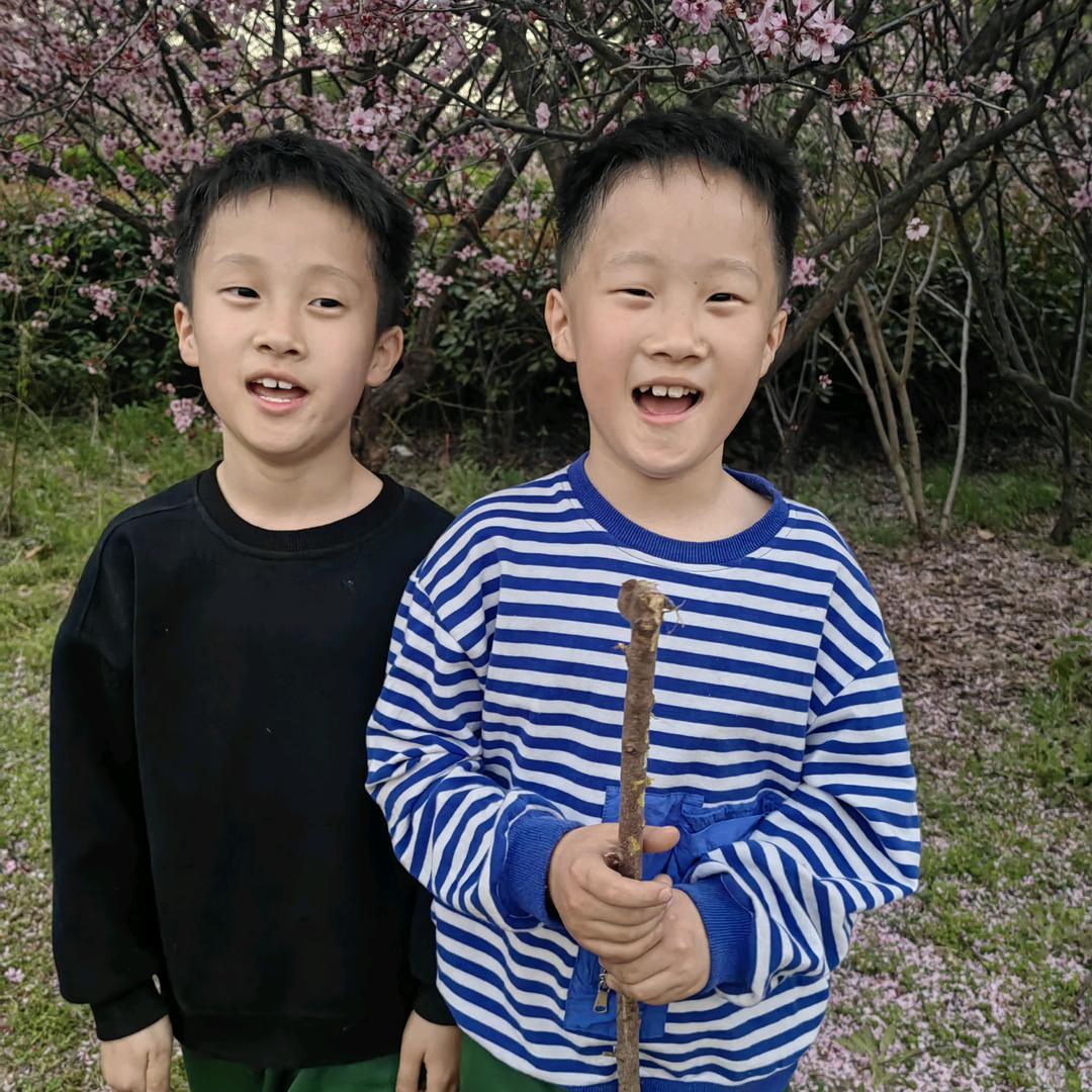 岁月静好