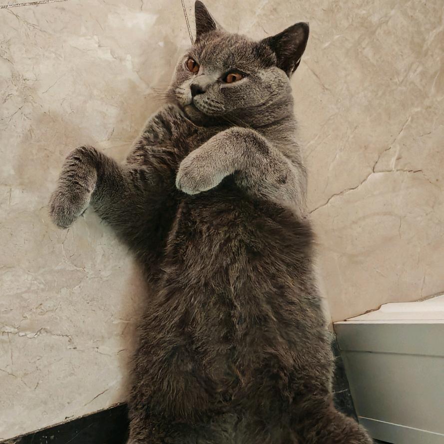 池州刷K机服务商