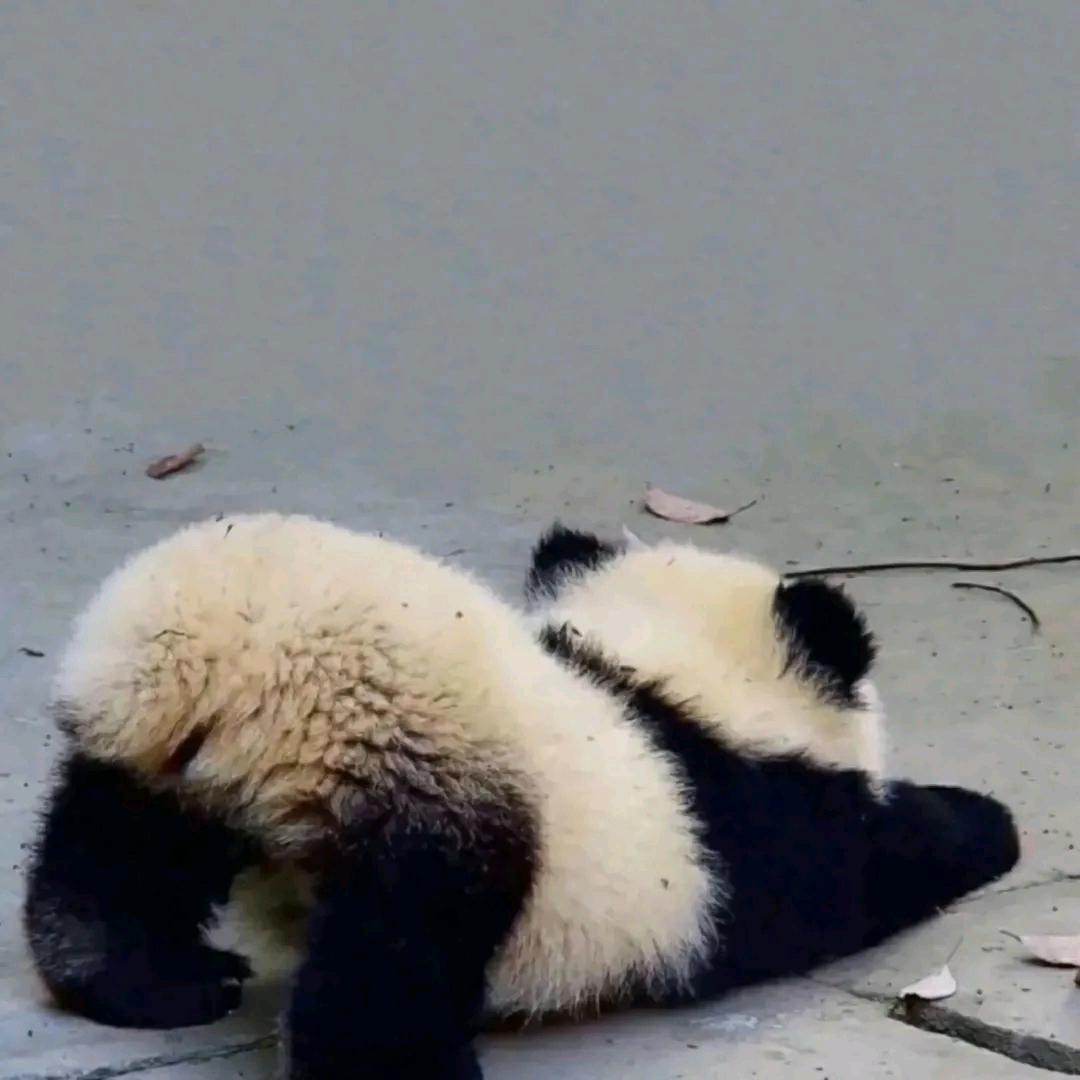 hua