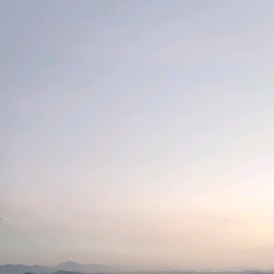 彪彪