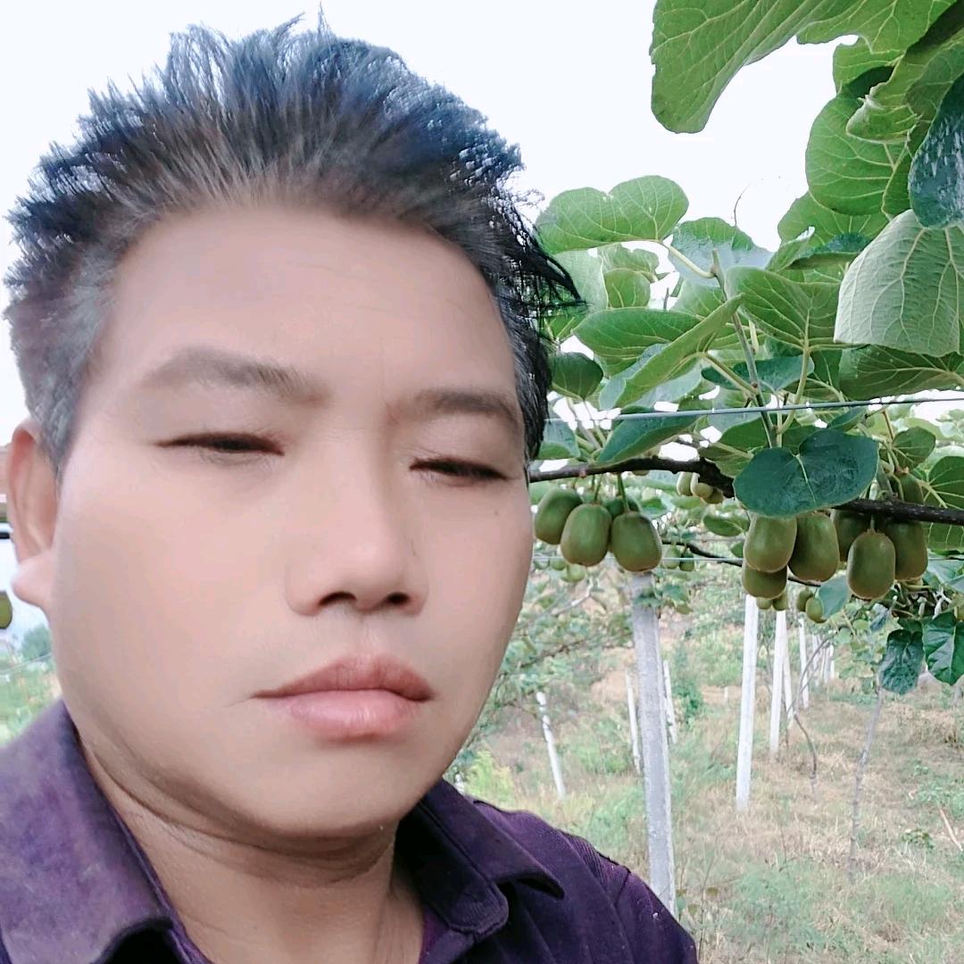 发耳猕猴桃铺子