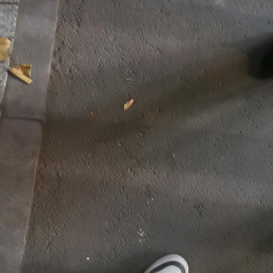 书芳