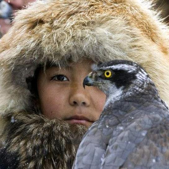 盖哥